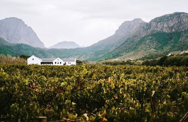 Experiencia en los viñedos de Constantia - Foto 1